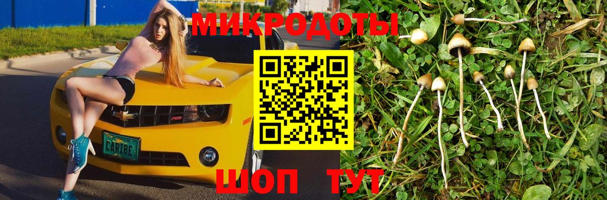 Псилоцибиновые грибы ЛСД Родники