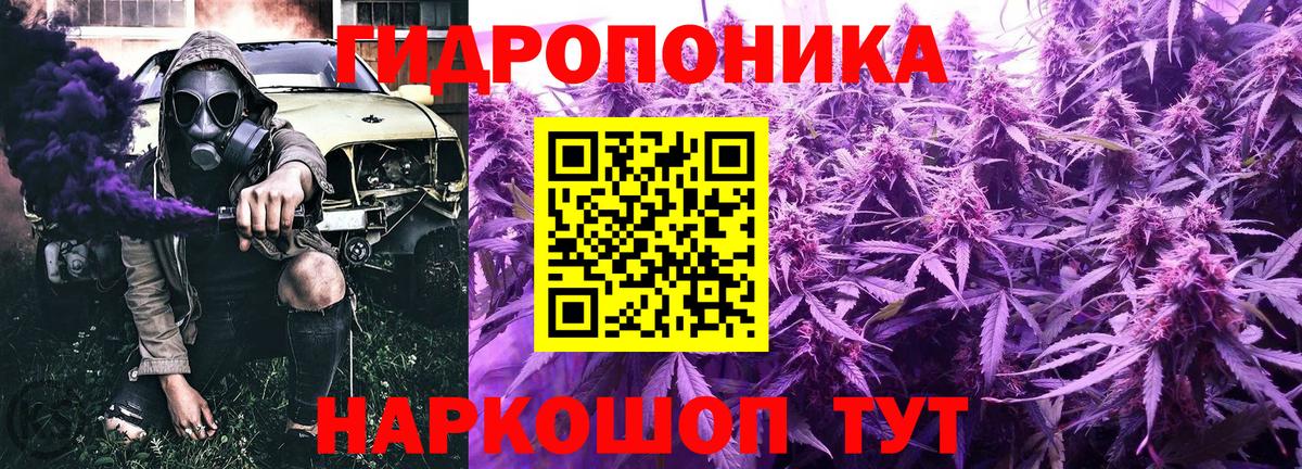 Шишки марихуана Ganja Родники